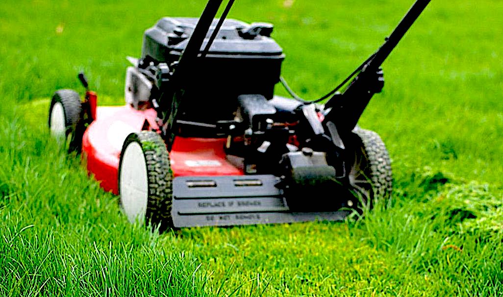 Mowing-lawn-and-leaving-grass-clippings-9f17741fa7a94a47b5ea58ec6a4ddf87